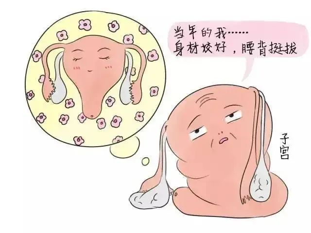 null 微信图片_20230302143744.jpg